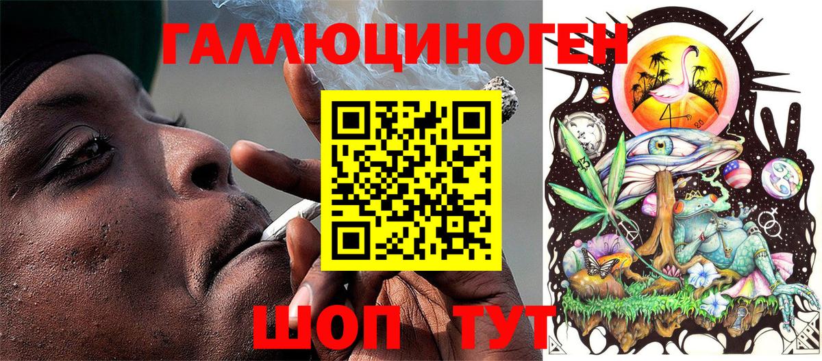 Каменка  Галлюциногенные грибы Cubensis  цены   Вход с VPN 